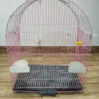 قفس طوطی عروس