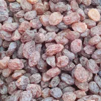 کشمش بیدانه سفید|خوردنی و آشامیدنی|تاکستان, |دیوار