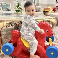 اسب دوکاره راکر