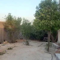 رهن و اجاره ویلای دوراهک|اجارهٔ خانه و ویلا|بندر دیر, |دیوار