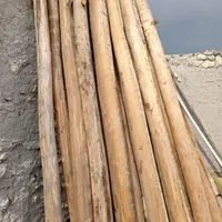 خریدارچوب|خدمات باغبانی و درختکاری|میانه, |دیوار