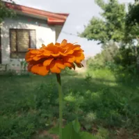 اجاره روزانه خانه باغ کارزان قنات آباد