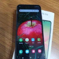 گوشی سامسونگ 2025 A56 5G و نوکیا ساده اصل|موبایل|تهران, شهرآرا|دیوار