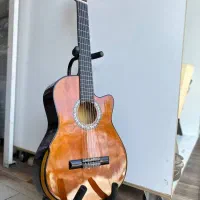 گیتار سلین ودایموند