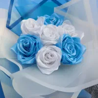 آبی سفید با شاین برفی فقط 385ت|حراج|قوچان, |دیوار