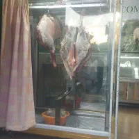 یخچال قصابی امکانات تکمیل