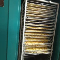 دستگاه خشک کن میوه و سبزیجات