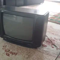تلویزیون