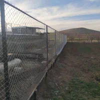 نصب تور فنس|خدمات پیشه و مهارت|بوکان, |دیوار