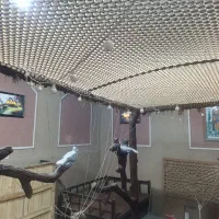 نیروی کار آقا و خانوم