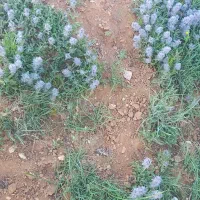 زمین-ابوذربنیادشهید