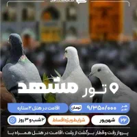 فرصت استثنایی بشتابید|تور و چارتر|پرند, فاز ۲|دیوار