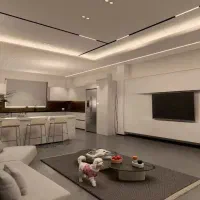 هم خونه فقط خانم