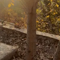 ملک وخانه در مکان ییلاق ساروج بلاغ|فروش خانه و ویلا|هشتگرد, کوشک زر|دیوار