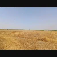 زمین ۶۵۰۰ متری سلطان آباد