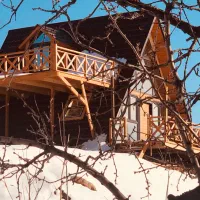 باغ-و-ویلا-کلبه-سویسی-چوبی