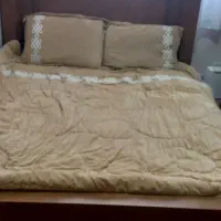 تخت خواب تمام چوب در حد نو|تخت و سرویس خواب|نیشابور, فردوس شمالی|دیوار