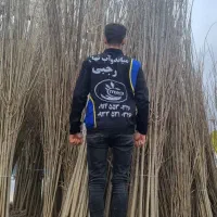 تولید و توزیع سپیدار|خدمات باغبانی و درختکاری|دره شهر, |دیوار