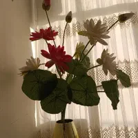 گل تزئینی|گل مصنوعی|بروجرد, |دیوار