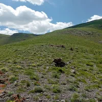 300کیلو گندم بوجاری شده