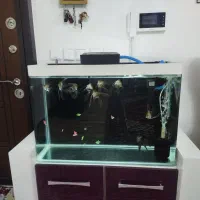 آکواریوم شیشه خم جدید