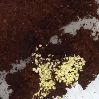 شغل‌خانگی‌پرورش‌حلزون کاردرمنزل خریدتخم وحلزون|استخدام بازاریابی و فروش|زاهدان, |دیوار
