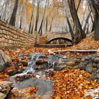 اجاره اقامتگاه قلات|اجارهٔ کوتاه‌مدت آپارتمان و سوئیت|شیراز, قلات|دیوار