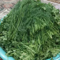 سبزی خورشتی قلیه آشی برنجی