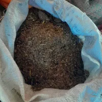 کود گوسفندی خالص خشک شده کیسه زده|لوازم جانبی حیوانات|بهنمیر, |دیوار