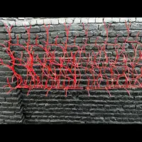 تولید و توزیع شاخ گوزنی