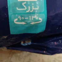 پوشک بزرگسال|آرایشی، بهداشتی، درمانی|گلبهار, شهر جدید گلبهار|دیوار