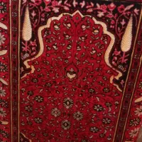 دو عدد فرش ۶ متره و یک ۹ متره دستباف دو جفت پشتی|فرش|زاهدان, |دیوار