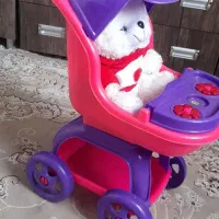 کیف ،کفش،وبیشتر لباسها نو میباشند