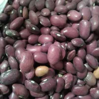 لوبیا قرمز درجه یک‌