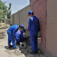 سمپاشی تضمینی/موریانه زدایی ساس سوسک کابینتی موش|خدمات نظافت|اهواز, کمپلو شمالی|دیوار