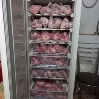 فیریزر سالم در حد امرسان|یخچال و فریزر|شبستر, |دیوار