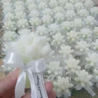 شمع اکسسوری عروسک مکرومه