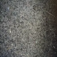 کود خفاش عالی