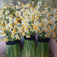 سه دسته گل نرگس