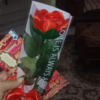 انواع گلهای ربانی مطابق سلیقه شما|گل مصنوعی|قزوین, |دیوار