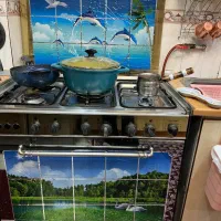 گاز فر ۵ شعله