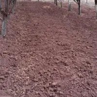 فروش تیلردیزلی مناسب برای خدمات کشاورزی و باغی|عمده‌فروشی|گرگان, |دیوار