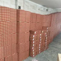 مبدل رادیاتور آبگرمکن دیواری بوتان ۳۱۱۵ کم فشار