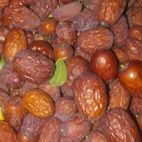 عناب تازه