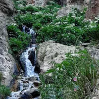 اجاره روزانه اپارتمان ۹۰ متری در روستای تنگه واشی|اجارهٔ کوتاه‌مدت آپارتمان و سوئیت|فیروزکوه, |دیوار
