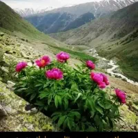 جابه حایی مسافرباسواری ازیاسوج به دهدشت