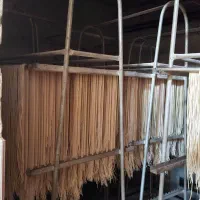 نیروی خانم جهت کار در کارخانه