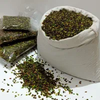 مغز پسته کوهی(بنه)