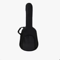 کیف گیتار