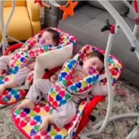 فروش تاب دو قلو|تخت و صندلی بچه|شاهین دژ, |دیوار